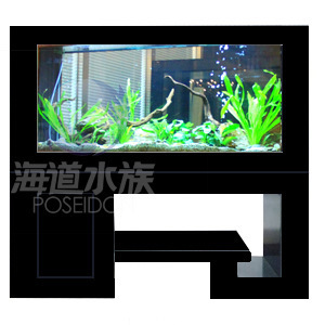 批發供應玻璃魚缸、生態魚缸及新式簡約花架柜式魚缸——保定海道水族科技