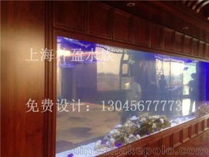 水族箱產(chǎn)業(yè)供應(yīng)鏈解析 從供應(yīng)商、價格到批發(fā)市場